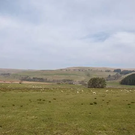 Σπίτι διακοπών Middlefell View Alston